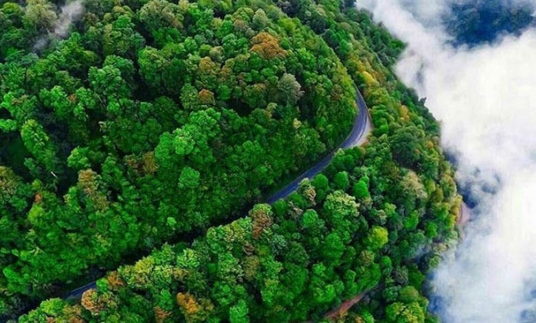 مشاوره حقوقی تلفنی گیلان