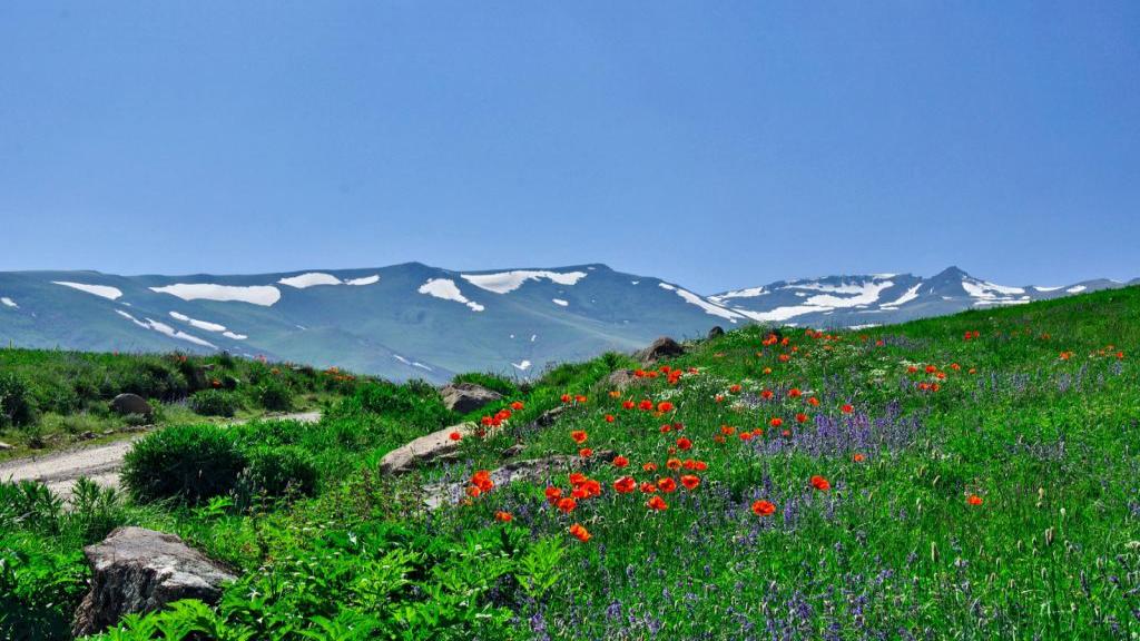 وکیل آنلاین اردبیل